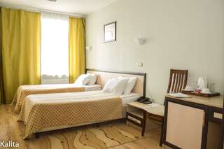 Гостиница Калита Калуга Номер эконом с 2 односпальными кроватями-1